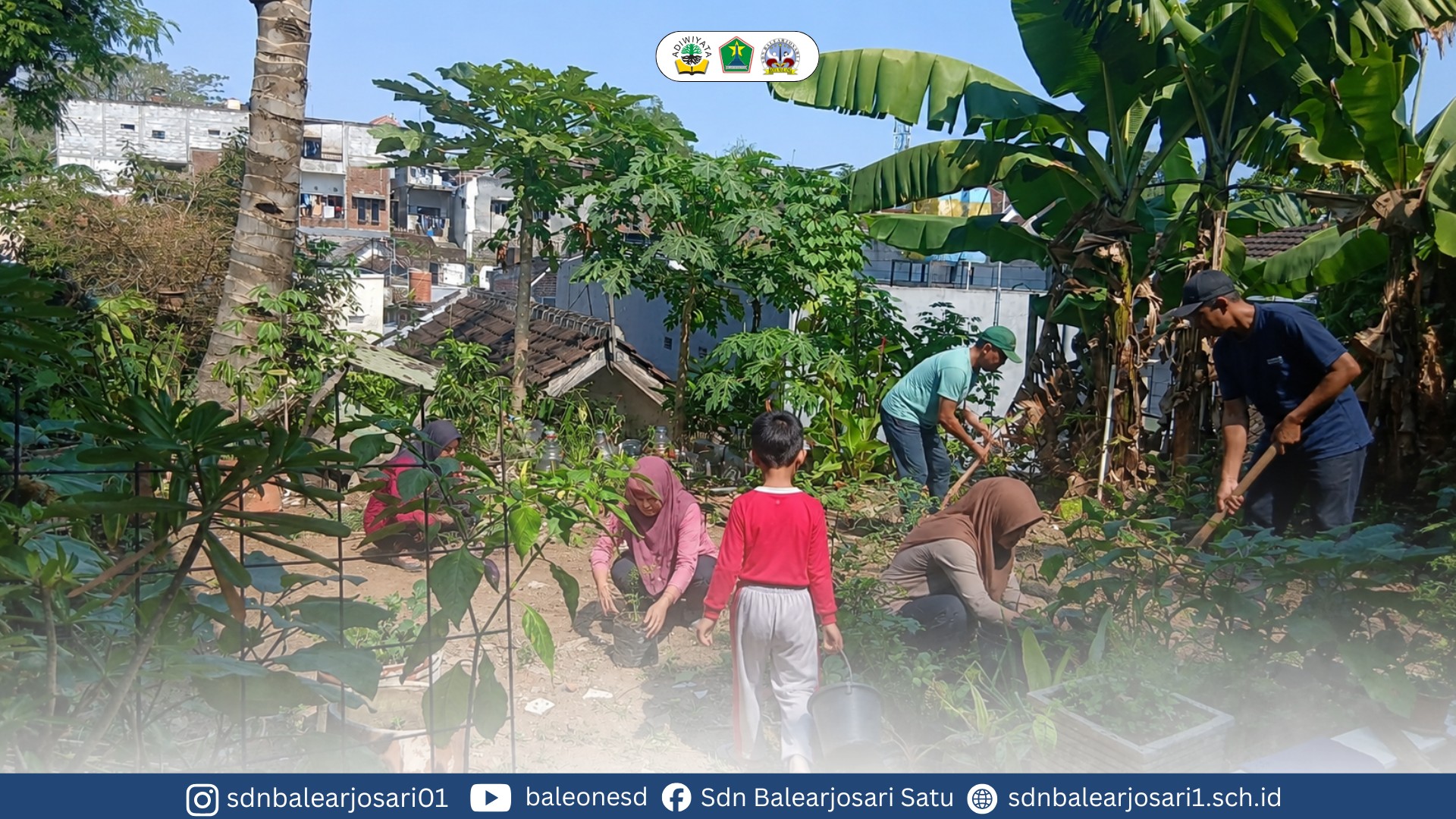 Warga SDN Balearjosari 1 Bergotong Royong Melaksanakan Perbaikan Taman Buah di Kebun Sekolah