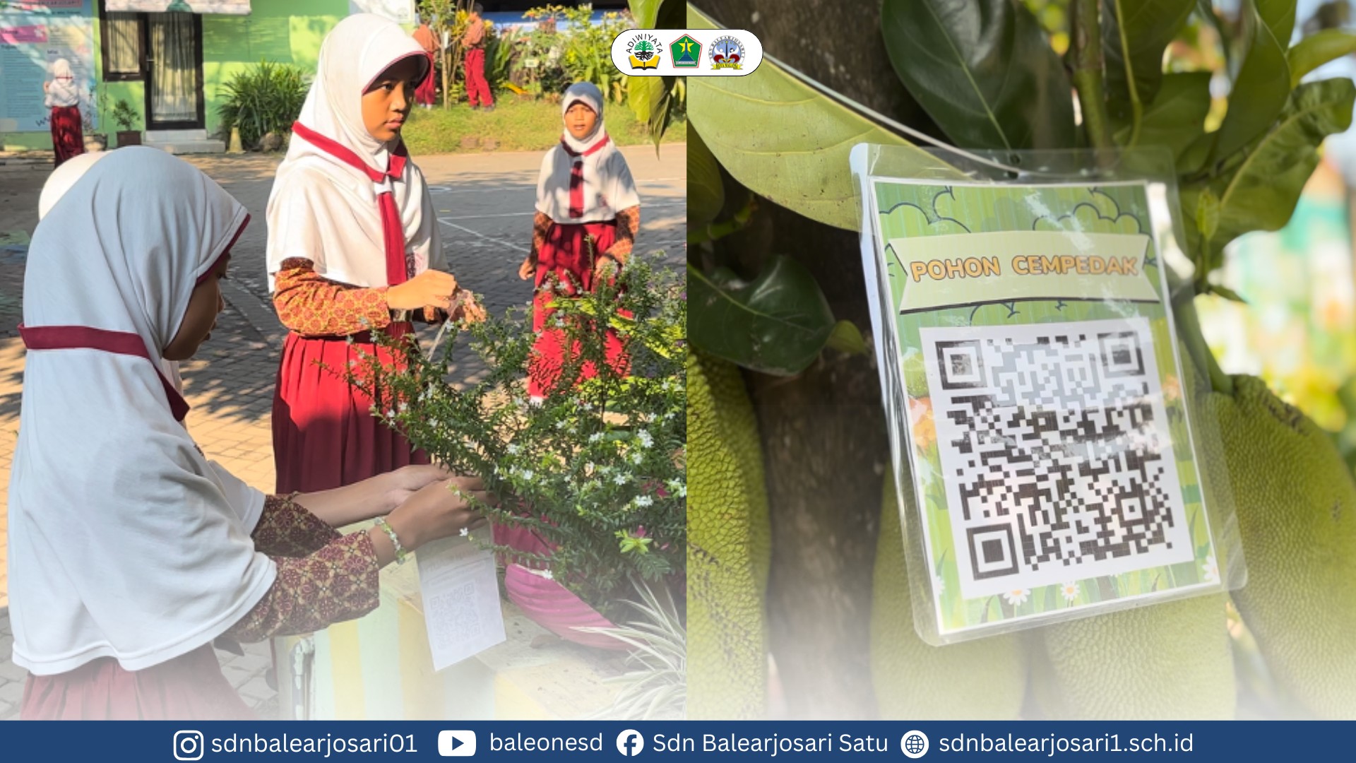 SDN Balearjosari 1 Melaksanakan Pemberian Label Nama pada Setiap Tanaman sebagai Media Pembelajaran Keanekaragaman Hayati